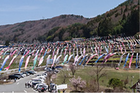 Minami Yatsugatake Hanamori Park