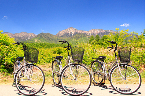 Bicycle rentals