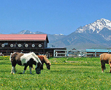 滝沢牧場