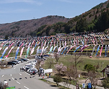 南八ヶ岳 花の森公園